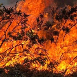 Ryzyko pożarów w całym kraju