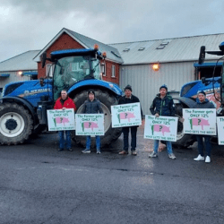 Rolnicy z Irlandii protestują. Dokładają po 55 euro do każdej świni