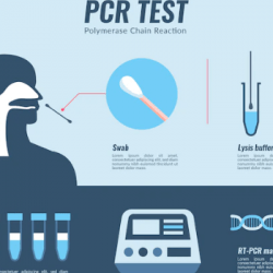 Nie będzie już testów PCR na masową skalę