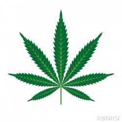 Możliwa legalizacja marihuany