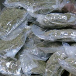 Marihuana o wartości 400 tys. euro zabezpieczona w Kildare