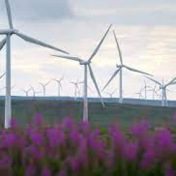 Farmy wiatrowe coraz ważniejsze dla wytwarzania prądu