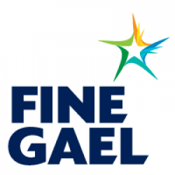 Burzliwe spotkanie Fine Gael w Cork