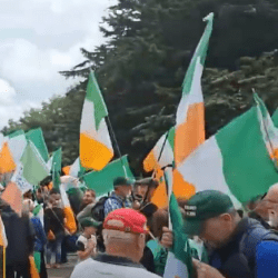 Manifestacje anty i proimigranckie w Dublinie