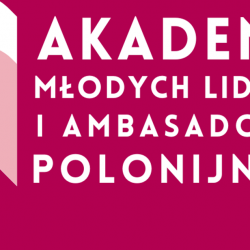 Stowarzyszenie Otwarty Dialog rekrutuje do Akademii Młodych Liderów i Ambasadorów Polonijnych