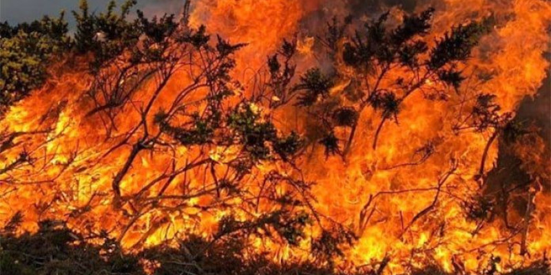 Ryzyko pożarów w całym kraju