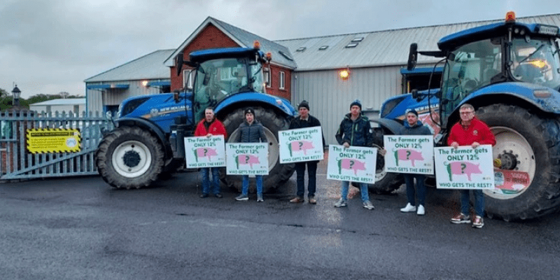 Rolnicy z Irlandii protestują. Dokładają po 55 euro do każdej świni