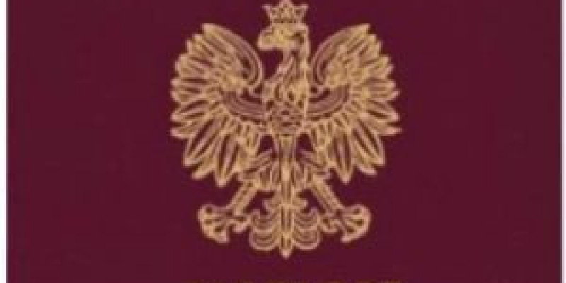 Irlandzki i polski paszport wśród najsilniejszych na świecie
