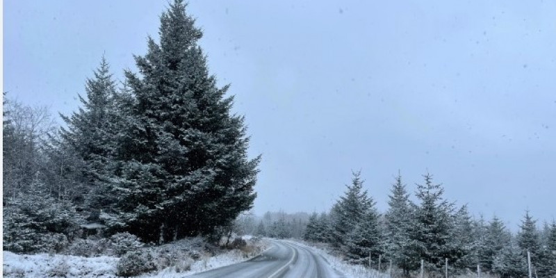 Zima uderzyła w Irlandię