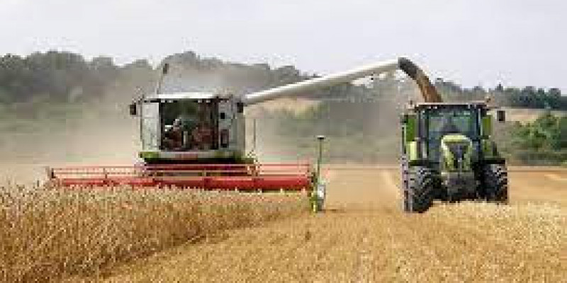 Niskie ceny producentów obniżają dochody rolników