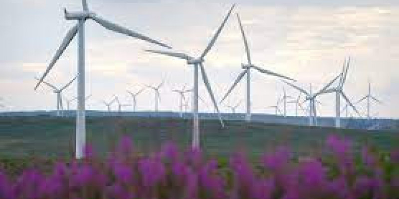 Farmy wiatrowe coraz ważniejsze dla wytwarzania prądu