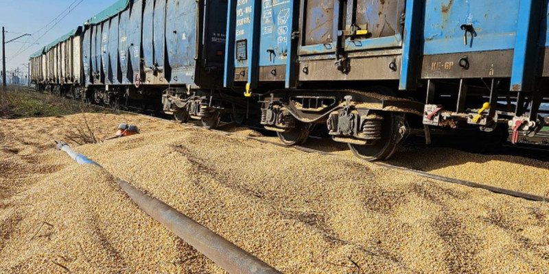 Kukurydza wysypana z wagonów w Kotomierzu trafi do Irlandii