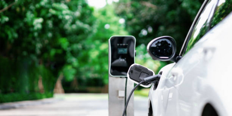 Samochody elektryczne najdroższe w Niemczech, Irlandia blisko czoła